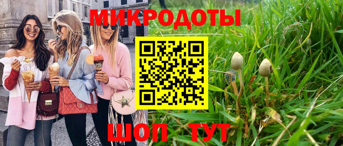 Галлюциногенные грибы Psilocybine cubensis Гурьевск